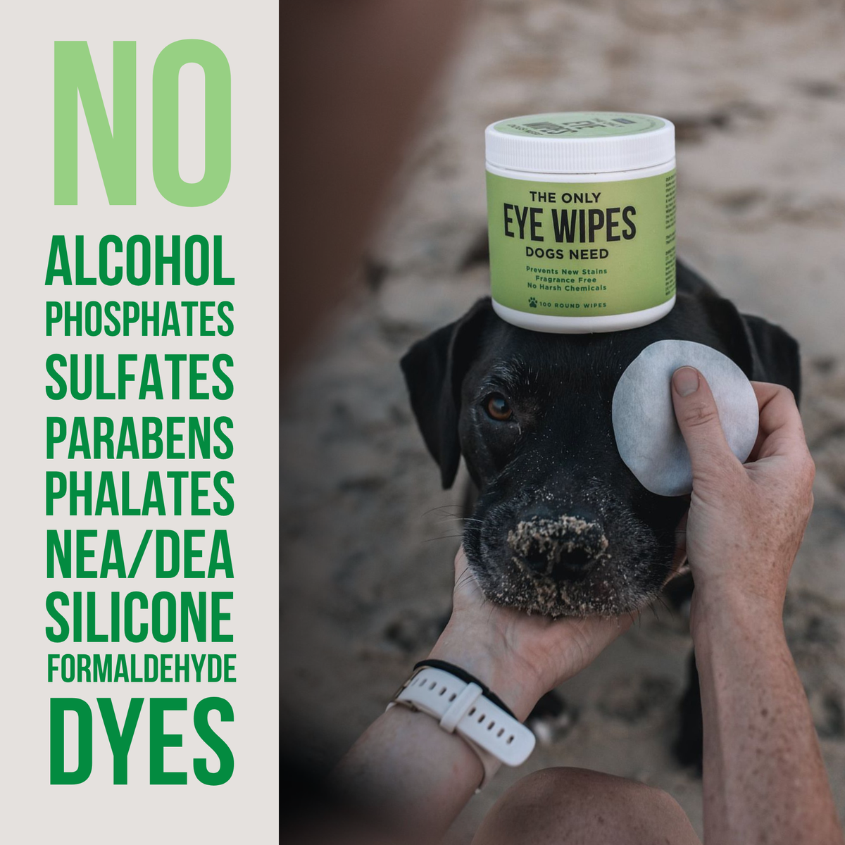 Care for your Dog