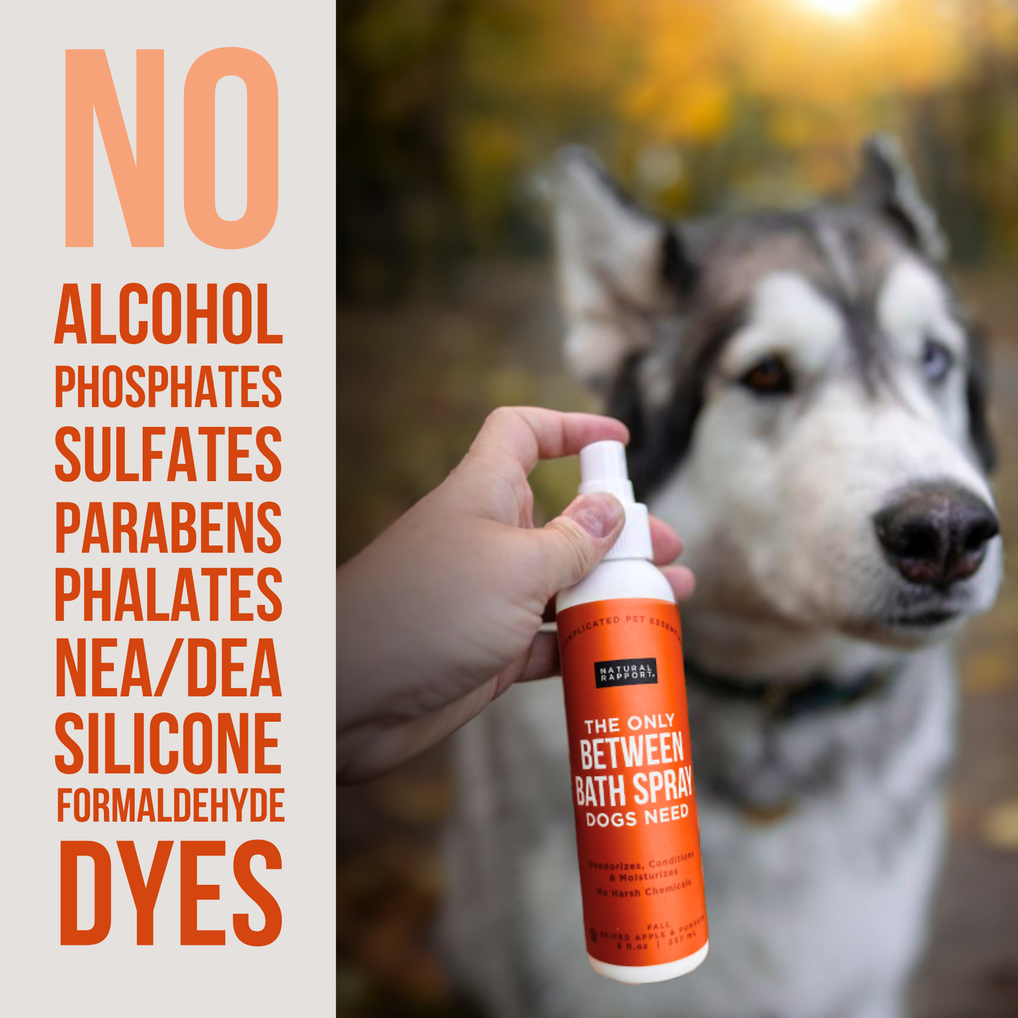 The Only Between Bath Spray Dogs Need - Cinnamon & Clove