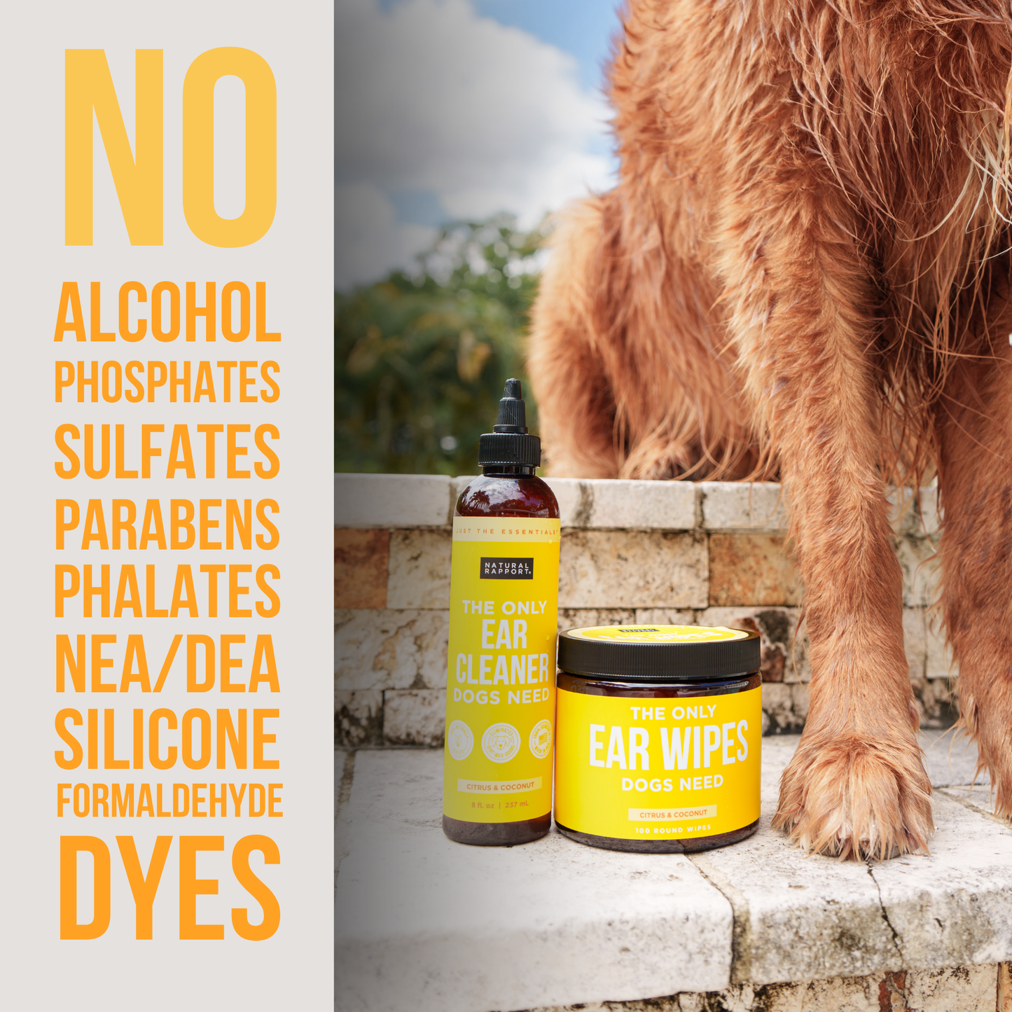 The Only Ear Wipes Dogs Need